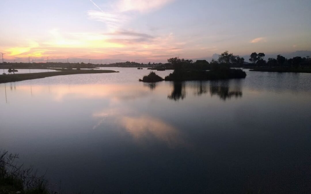 Planeje sua Visita: Horários de Funcionamento do Parque das Águas em Pinhais