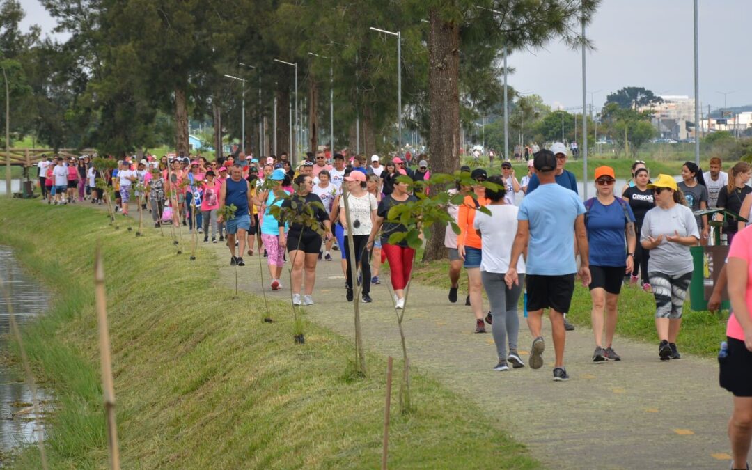 Caminhada da Mulher em Pinhais acontece em 9 de março com atividades gratuitas