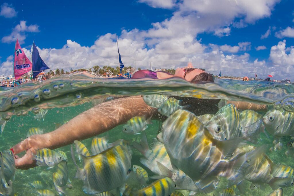Nordeste em Julho de 2025: Um Guia Detalhado para Férias Inesquecíveis! 2 Porto de Galinhas (PE): Mergulho em Piscinas Naturais