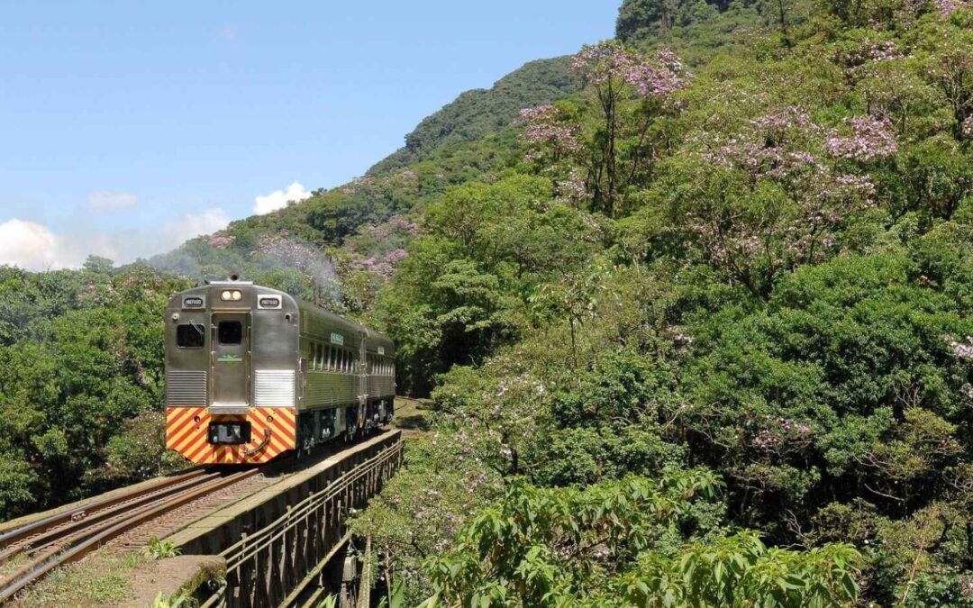 Pinhais, embarque em uma aventura pela metade do preço com a Serra Verde Express!