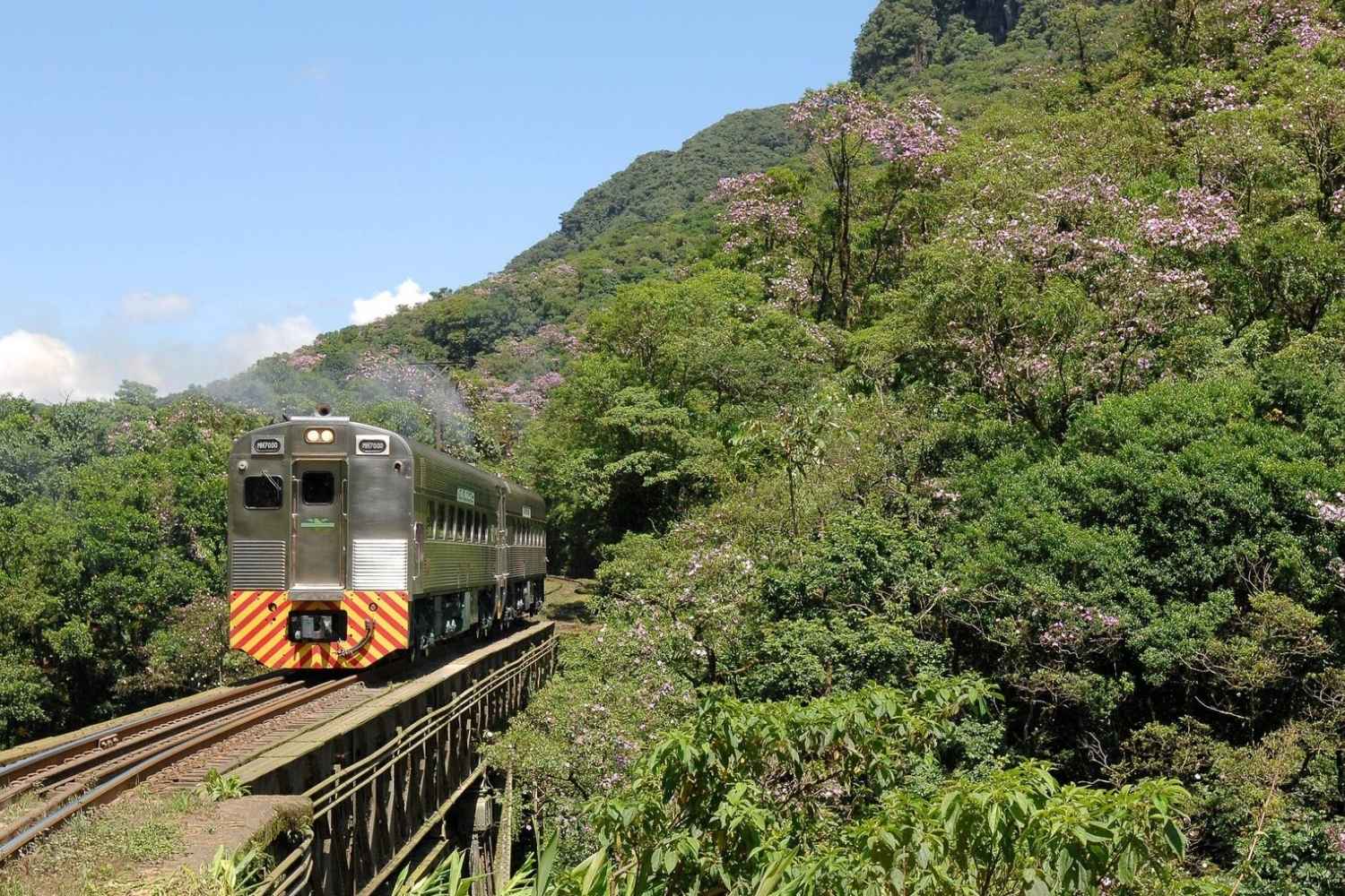 Pinhais, embarque em uma aventura pela metade do preço com a Serra Verde Express!
