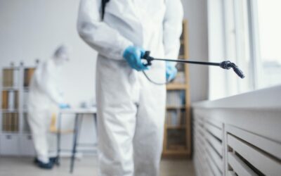 Logística na distribuição de produtos para controle de pragas