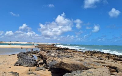 Natal e Pipa: Qual a Melhor Época para Visitar? [Guia Completo 2025]