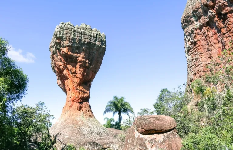 5 Destinos Incríveis para um Bate e Volta Perfeito Perto de Curitiba 4 parque estadual de vila velha parana 08